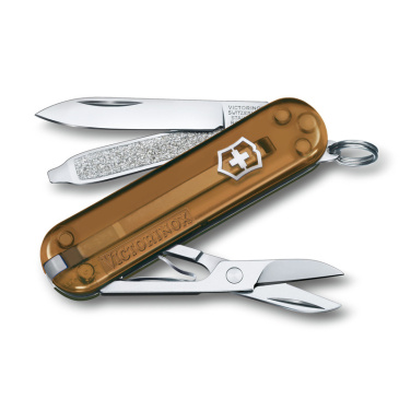 Logotrade promotional merchandise picture of: Pocket knife CLASSIC SD Victorinox