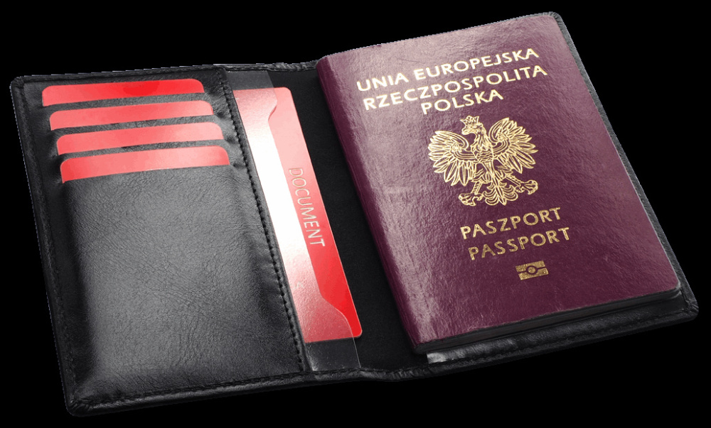 Logotrade promotional merchandise picture of: RFID passport case 1301131