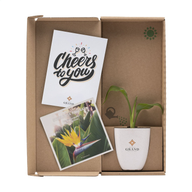 Logo trade promotional gifts image of: Treemore Letterbox Trees Bird of Paradise plant