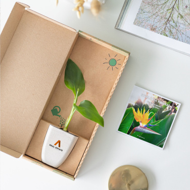 Logotrade corporate gifts photo of: Treemore Letterbox Trees Bird of Paradise plant