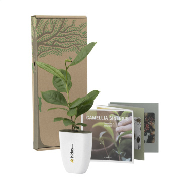 Logotrade promotional giveaways photo of: Treemore Letterbox Trees Tea plant