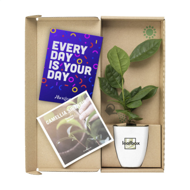 Logo trade business gift photo of: Treemore Letterbox Trees Tea plant