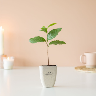 Logotrade promotional merchandise picture of: Treemore Letterbox Trees Tea plant