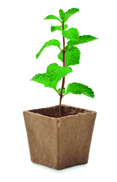 Logo trade promotional items image of: Mint seeds growing kit