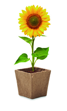 Logo trade promotional giveaways picture of: Sunflower growing kit