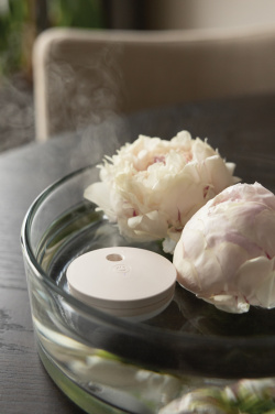 Logotrade promotional merchandise photo of: Breevia RCS rplasic re-chargeable floating humidifier