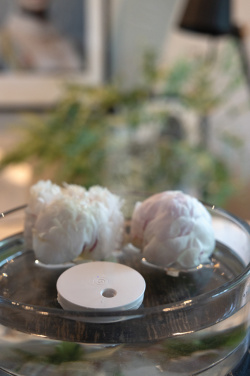 Logo trade promotional giveaway photo of: Breevia RCS rplasic re-chargeable floating humidifier