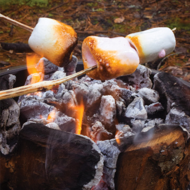 Logotrade promotional giveaway image of: Eco Grill M