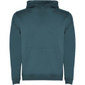 Urban kids hoodie, Blue lake