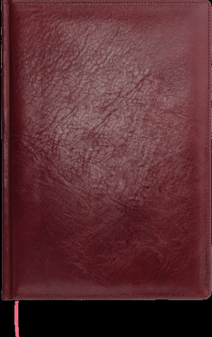 Logotrade reklaamkingituse foto: Kalendermärkmik 645131