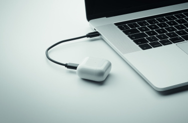 Logo trade firmakingi pilt: CAWATT 4 in 1 kaabli pistikute komplekt 15W