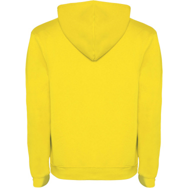 Logotrade ärikingi foto: Urban meeste kapuutsiga hoodie