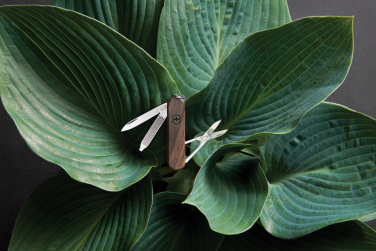 Logotrade liikelahjat mainoslahjat tuotekuva: VICTORINOX-taskuveitsi Classic SD Wood, 5 toimintoa