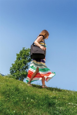 Логотрейд pекламные подарки картинка: Reklaamkingitus: Swiss Peak cooler bag
, must