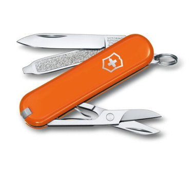 Лого трейд pекламные подарки фото: Карманный нож CLASSIC SD Victorinox