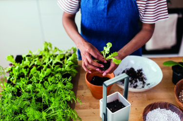 Логотрейд pекламные cувениры картинка: Indoor garden with LED light