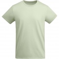 Breda kortärmad T-shirt för herr, Mist Green