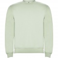 Clasica unisex tröja med rund hals, Mist Green