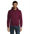 SNAKE Hood Sweater, Bourgogne